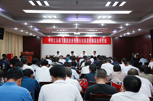 中国共产党江苏开云手机站登录入口集团委员会 换届选举大会隆重召开