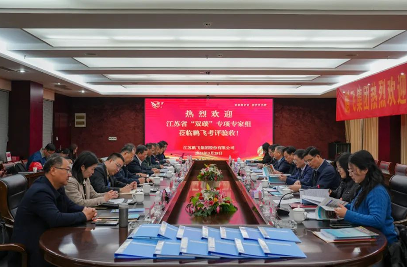开云手机站登录入口集团“低阶煤绿色洁净利用热解技术装备研发及产业化”项目通过验收